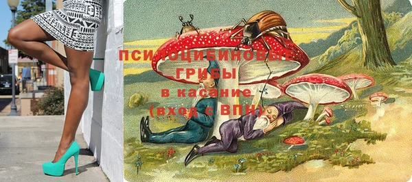 mdpv Белокуриха