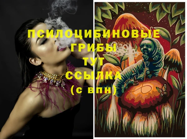 mdpv Белокуриха